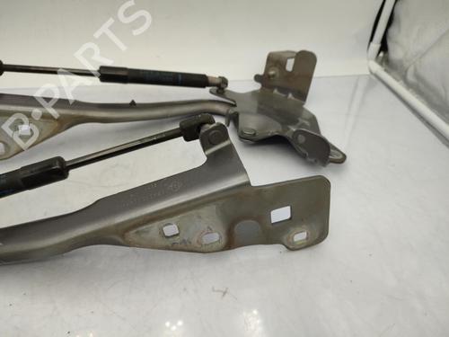 Used Hinge/Door check strap RENAULT SCÉNIC III (JZ0/1_) 1.9 dCi (JZ0J, JZ1J, JZ1K, JZ1S) (131 hp) 23712338