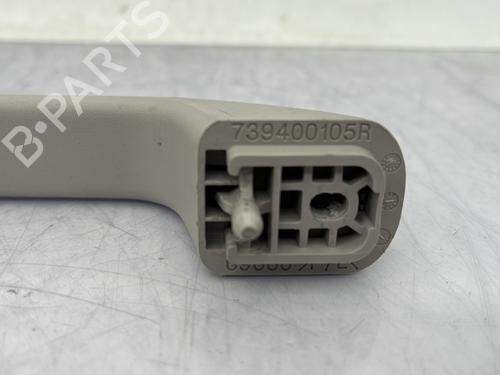 Interior roof handle DACIA SANDERO III 1.0 TCe 100 ECO-G | BP23761547I35 