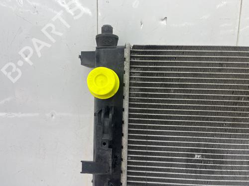 Water radiator DACIA SANDERO II 1.5 dCi 75 / Blue dCi 75 (B8JW, B8M4, B8AH, B8M7, B8M6) | BP36646458M31 - Image 9