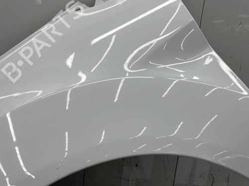 Left front fenders FORD FIESTA VI (CB1, CCN) 1.25 | BP25997709C41 