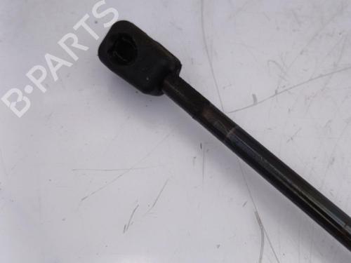 Hood lift support RENAULT MEGANE III Hatchback (BZ0/1_, B3_) 1.9 dCi (BZ0N, BZ0J) | BP23730737C139