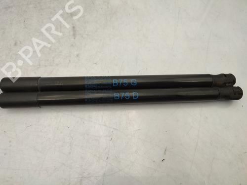 Tailgate lift support CITROËN DS4 (NX_) 1.6 HDi 115 | BP25346539C138 