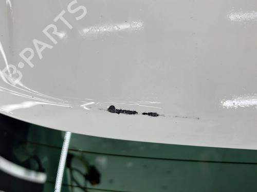 Used Tailgate Tailgate CITROËN DS4 (NX_) 1.6 HDi 115 (114 hp) 29239690 29239690