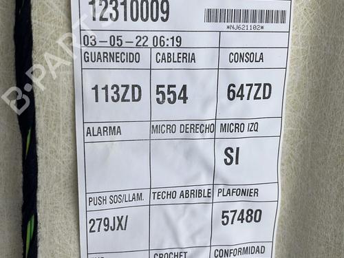 Interior roof PEUGEOT 2008 II (UD_, US_, UY_, UJ_, UR_, UC_) 1.5 BlueHDI 130 | BP23754537I12