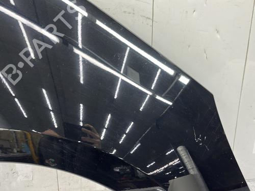 Right front fenders RENAULT SCÉNIC III (JZ0/1_) 1.6 dCi (JZ00, JZ12) | BP29372532C42 