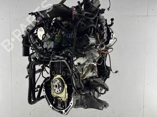 Engine RENAULT MEGANE III Hatchback (BZ0/1_, B3_) 1.6 dCi (BZ00, BZ12, BZ13) | BP30819467M1 - Image 8