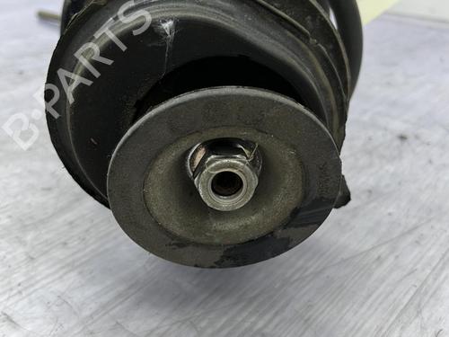 Right front shock absorber FIAT PANDA (169_) 1.2 (169AXF2A, 169AXF1A) | BP23704528M17 - Image 2