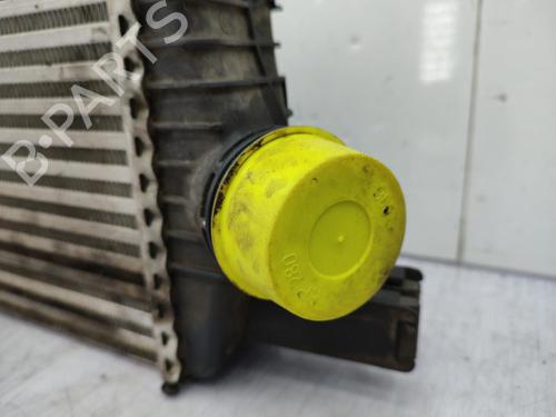 Intercooler DACIA DUSTER (HS_) 1.2 TCe 125 | BP23723125M30 - Image 5