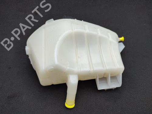 Expansion tank RENAULT KANGOO Express (FW0/1_) 1.5 dCi 80 (FW15) | BP23845291C120 