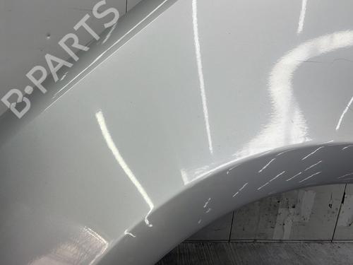 Left front fenders RENAULT CLIO III (BR0/1, CR0/1) 1.5 dCi (BR17, CR17) | BP29634701C41