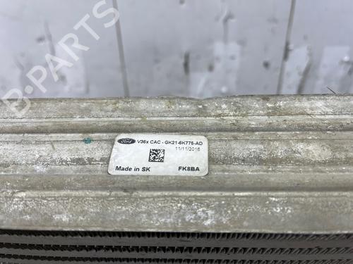 Used Intercooler Intercooler FORD TRANSIT V363 Van (FCD, FDD) 2.0 EcoBlue (130 hp) 33984236 33984236