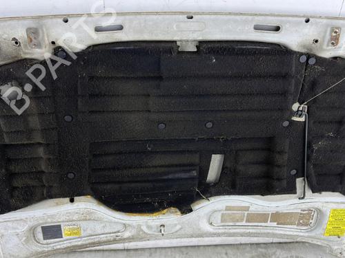 Hood RENAULT RAPID Box Body/MPV (F40_, G40_) 1.6 D (F404) | BP23758244C1