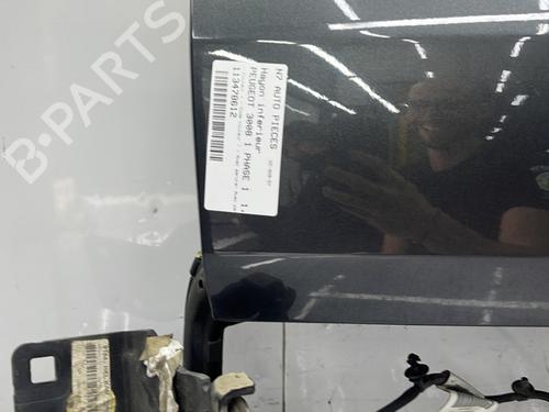 Tailgate PEUGEOT 3008 I MPV (0U_) 1.6 HDi | BP29484880C6 