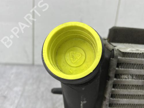 Intercooler FORD FIESTA VI (CB1, CCN) 1.0 EcoBoost | BP25890495M30 