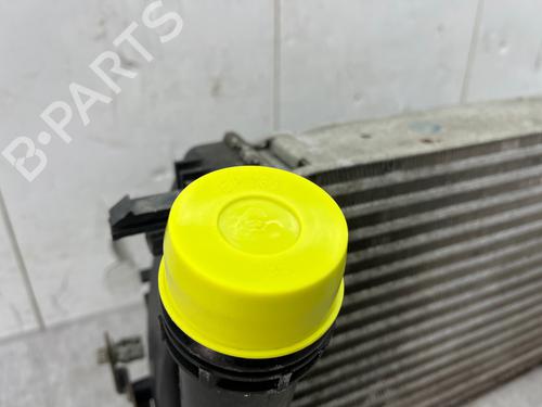Intercooler DACIA SANDERO II 1.5 dCi | BP35890197M30 - Image 8