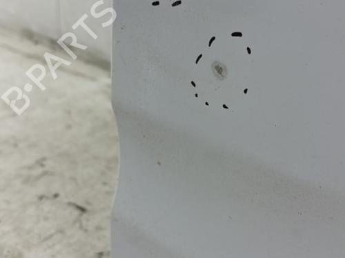 Right tailgate FORD TRANSIT CONNECT (P65_, P70_, P80_) 1.8 Di | BP23758554C77 