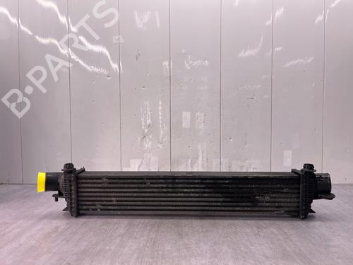 Used Intercooler Intercooler NISSAN MURANO II (Z51) 2.5 dCi 4x4 (190 hp) 40551728 40551728