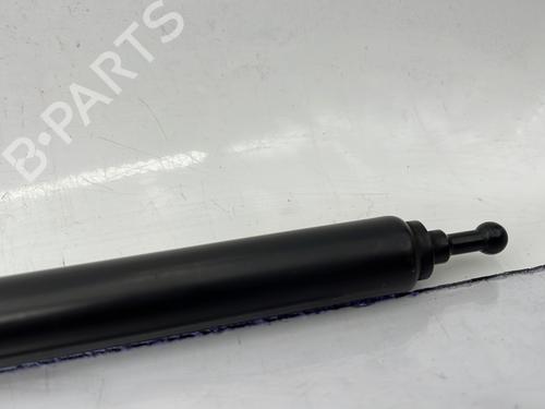 Hood lift support RENAULT MEGANE III Hatchback (BZ0/1_, B3_) 1.5 dCi (BZ09, BZ0D, BZ1W, BZ29, BZ14) | BP23683333C139 