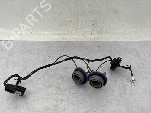 Used Lamp holder RENAULT SCÉNIC IV (J9_) 1.3 TCe 140 (140 hp) 31375578