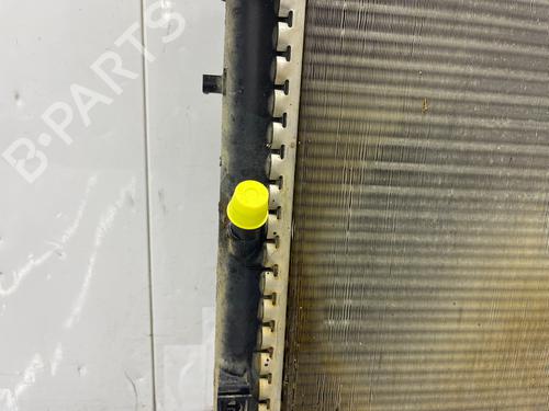 Water radiator RENAULT KANGOO Express (FW0/1_) | BP38425924M31 - Image 3