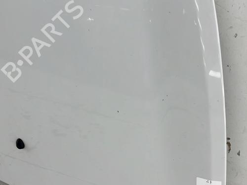 Hood RENAULT CLIO III (BR0/1, CR0/1) 1.5 dCi (C/BR0G, C/BR1G) | BP24977956C1 