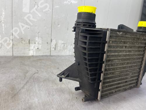 Intercooler Intercooler RENAULT CLIO III (BR0/1, CR0/1) 1.5 dCi (75 hp) 37193733 37193733