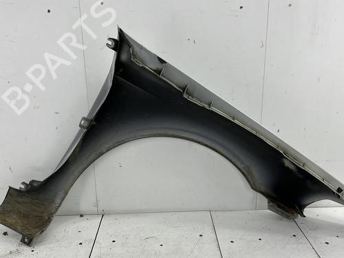 Left front fenders RENAULT LAGUNA II (BG0/1_) 2.2 dCi (BG0F) | BP23688438C41 