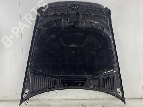 Hood VW PHAETON (3D1, 3D2, 3D3, 3D4, 3D6, 3D7, 3D8, 3D9) 3.0 V6 TDI 4motion | BP29455291C1 
