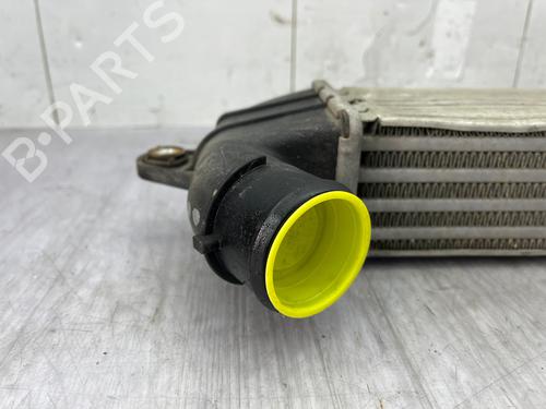 Used Intercooler Intercooler FIAT DOBLO MPV (119_, 223_) 1.3 D Multijet (84 hp) 33984239 33984239
