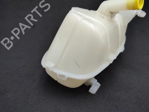 Expansion tank RENAULT KANGOO Express (FW0/1_) 1.5 dCi 80 (FW15) | BP23845291C120 
