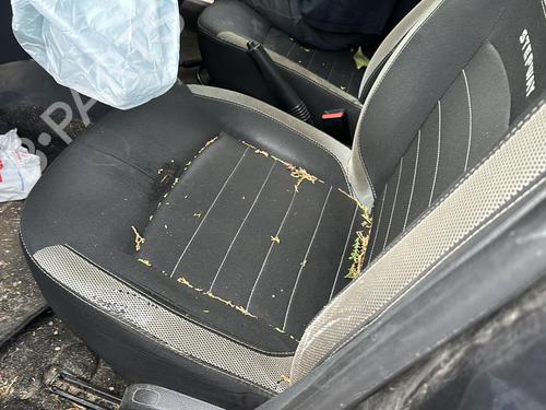 Right front shock absorber DACIA SANDERO II 1.5 Blue dCi 95 (B8JL) | BP25917512M17  - Image 20