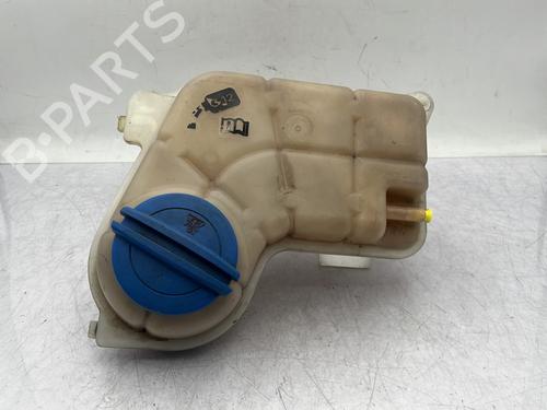 Ekpansionstank AUDI A4 B7 (8EC) 1.9 TDI (116 hp) 29968129