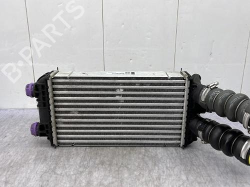 Used Intercooler PEUGEOT 2008 II (UD_, US_, UY_, UJ_, UR_, UC_) 1.5 BlueHDI 130 (131 hp) 23754510