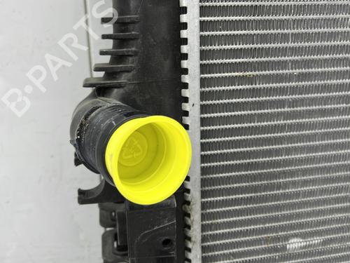 Used Water radiator Water radiator RENAULT SCÉNIC IV (J9_) 1.3 TCe 140 (140 hp) 24940537 24940537