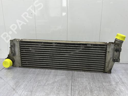 Intercooler RENAULT MEGANE II (BM0/1_, CM0/1_) 1.5 dCi (BM1F, CM1F) | BP23705599M30 
