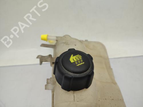 expansion-tank-renault-megane-iii-hatchback-bz01_-b3_-2008-23739355 main image