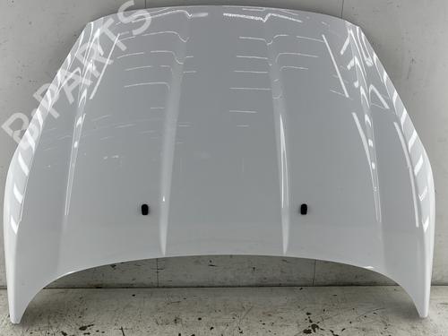 Capot FORD FIESTA VI (CB1, CCN) 1.5 TDCi (75 hp) 32062058