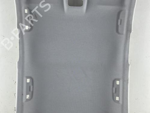 Interiør taket PEUGEOT 208 II (UB_, UP_, UW_, UJ_) 1.2 PureTech 100 (101 hp) 30648875