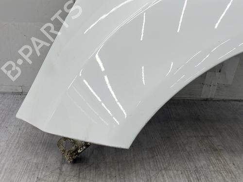 Left front fenders FORD FIESTA VI (CB1, CCN) 1.0 EcoBoost | BP25997712C41 