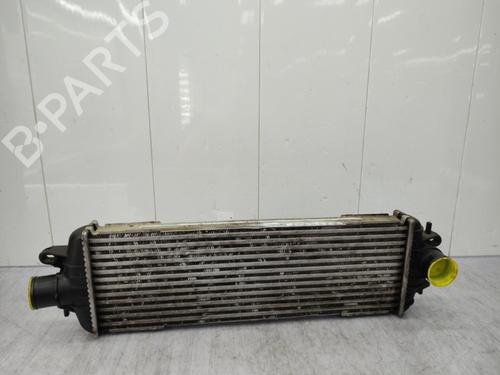 Intercooler RENAULT TRAFIC II Van (FL) 2.5 dCi 135 (FL0D) | BP23732027M30  - Image 7