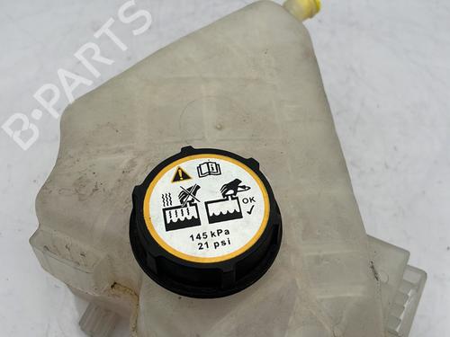 expansion-tank-ford-fiesta-vi-cb1-ccn-2008-23761387 main image