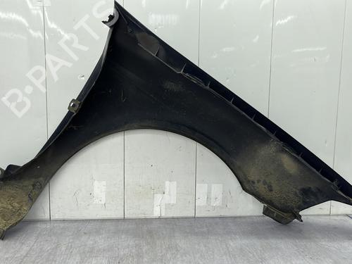 Left front fenders RENAULT LAGUNA II Grandtour (KG0/1_) 1.9 dCi (KG0G) | BP24865822C41 