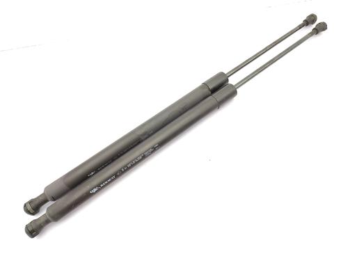 Used Tailgate lift support RENAULT SCÉNIC III (JZ0/1_) 1.5 dCi (110 hp) 23756730