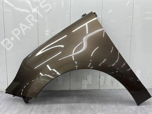 Used Left front fenders RENAULT GRAND SCÉNIC III (JZ0/1_) 1.5 dCi (JZ09, JZ0D, JZ10, JZ14, JZ1G, JZ29, JZ2C) (110 hp) 27608286