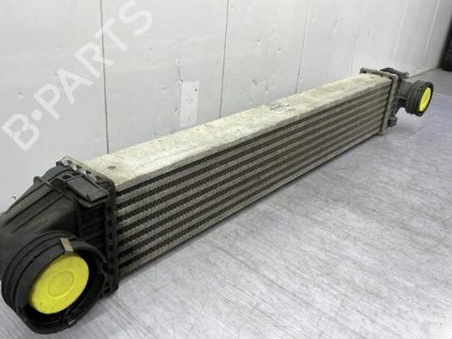 Intercooler MERCEDES-BENZ A-CLASS (W169) A 180 CDI (169.007, 169.307) | BP23750021M30  - Image 6
