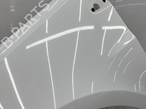 Left front fenders RENAULT CLIO III (BR0/1, CR0/1) 1.5 dCi (C/BR0G, C/BR1G) | BP25006487C41 
