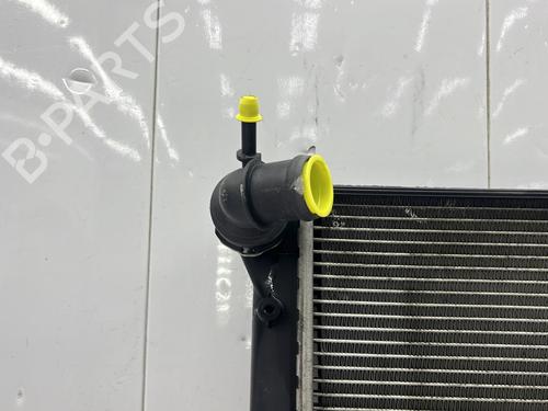 Køler AUDI A3 Sportback (8PA) 2.0 TDI 16V | BP30878325M31