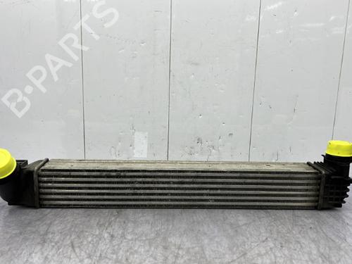 Used Intercooler RENAULT SCÉNIC III (JZ0/1_) 1.5 dCi (110 hp) 23681047