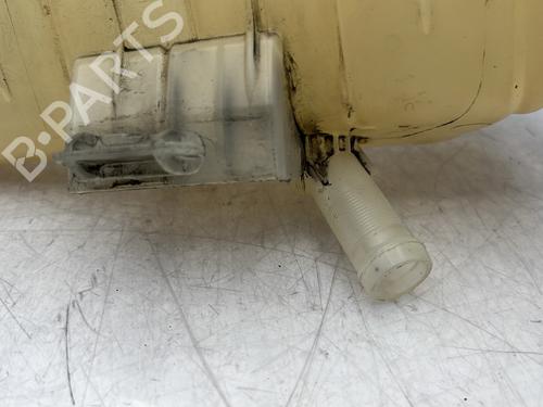 Expansion tank RENAULT KANGOO / GRAND KANGOO II (KW0/1_) 1.5 dCi 90 (KW05, KW08, KW0G, KW11) | BP29968126C120