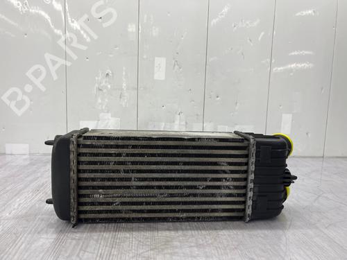 Intercooler CITROËN C3 Picasso (SH_) 1.6 HDi | BP38627115M30 - Image 4